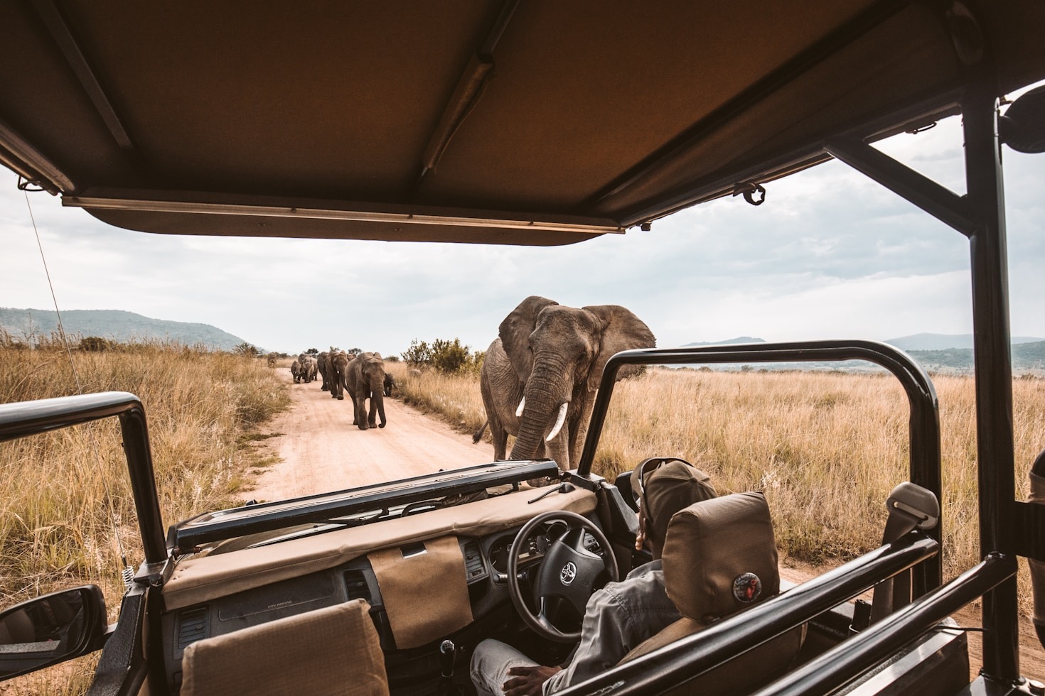 Top 5 Must-See Destinations in East Africa