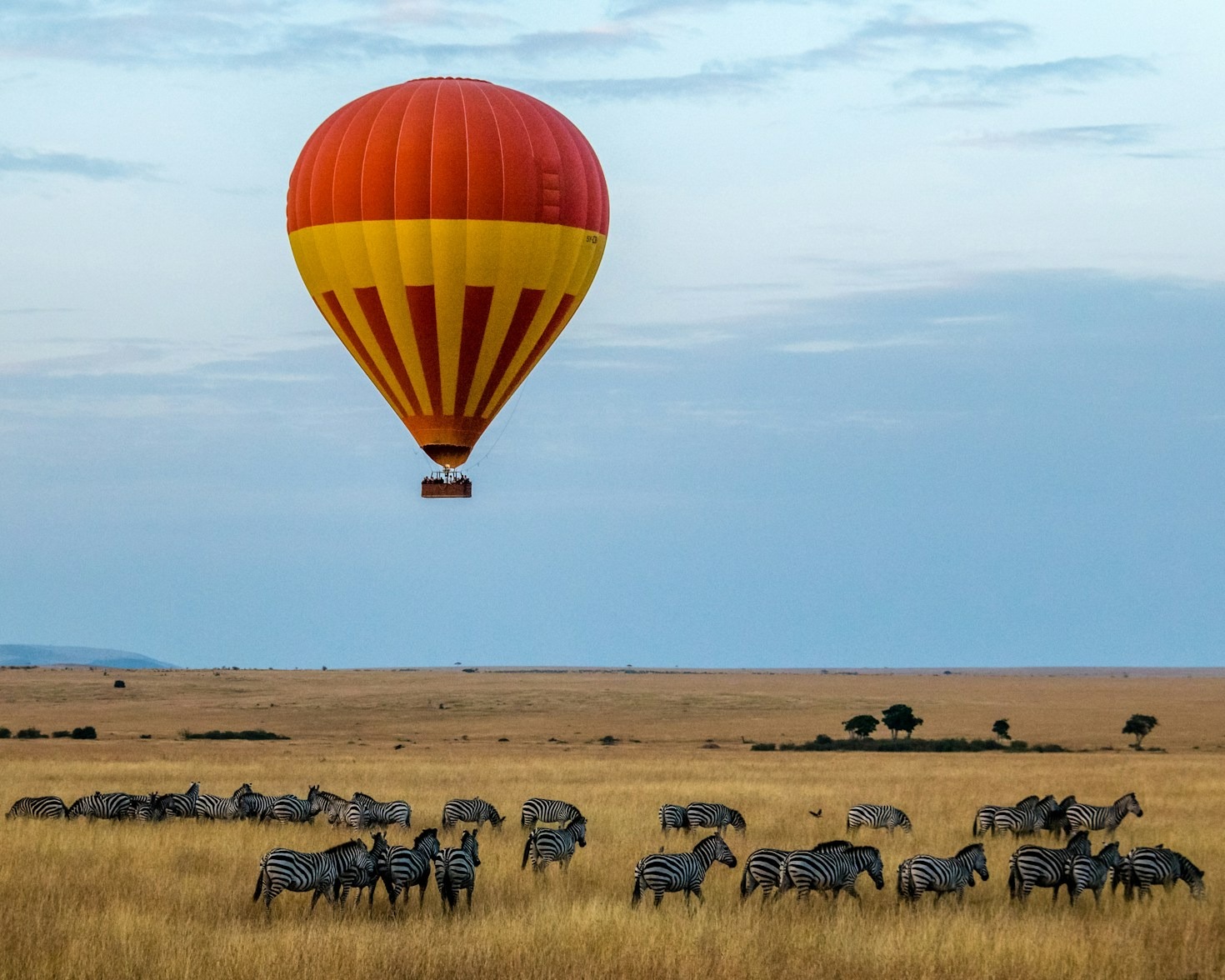 The Best Time of Year for East African Safaris
