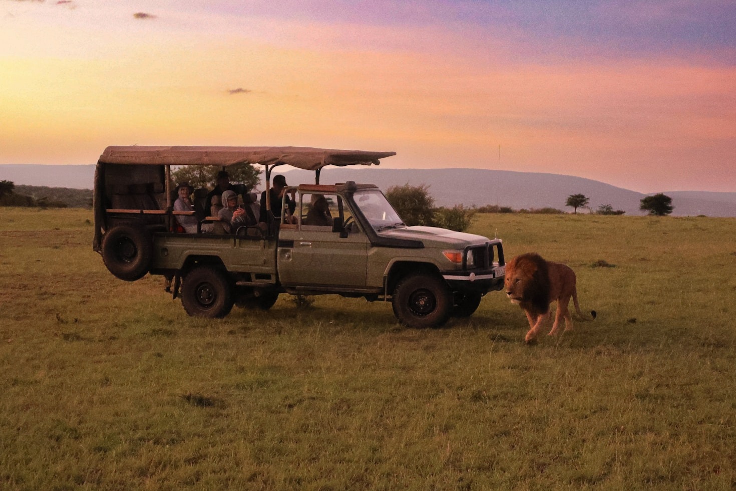 Wildlife Encounters in East Africa: What to Expect