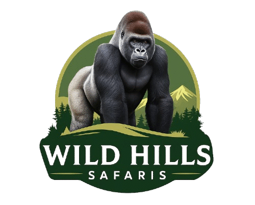 Wild Hills Safaris Official Logo
